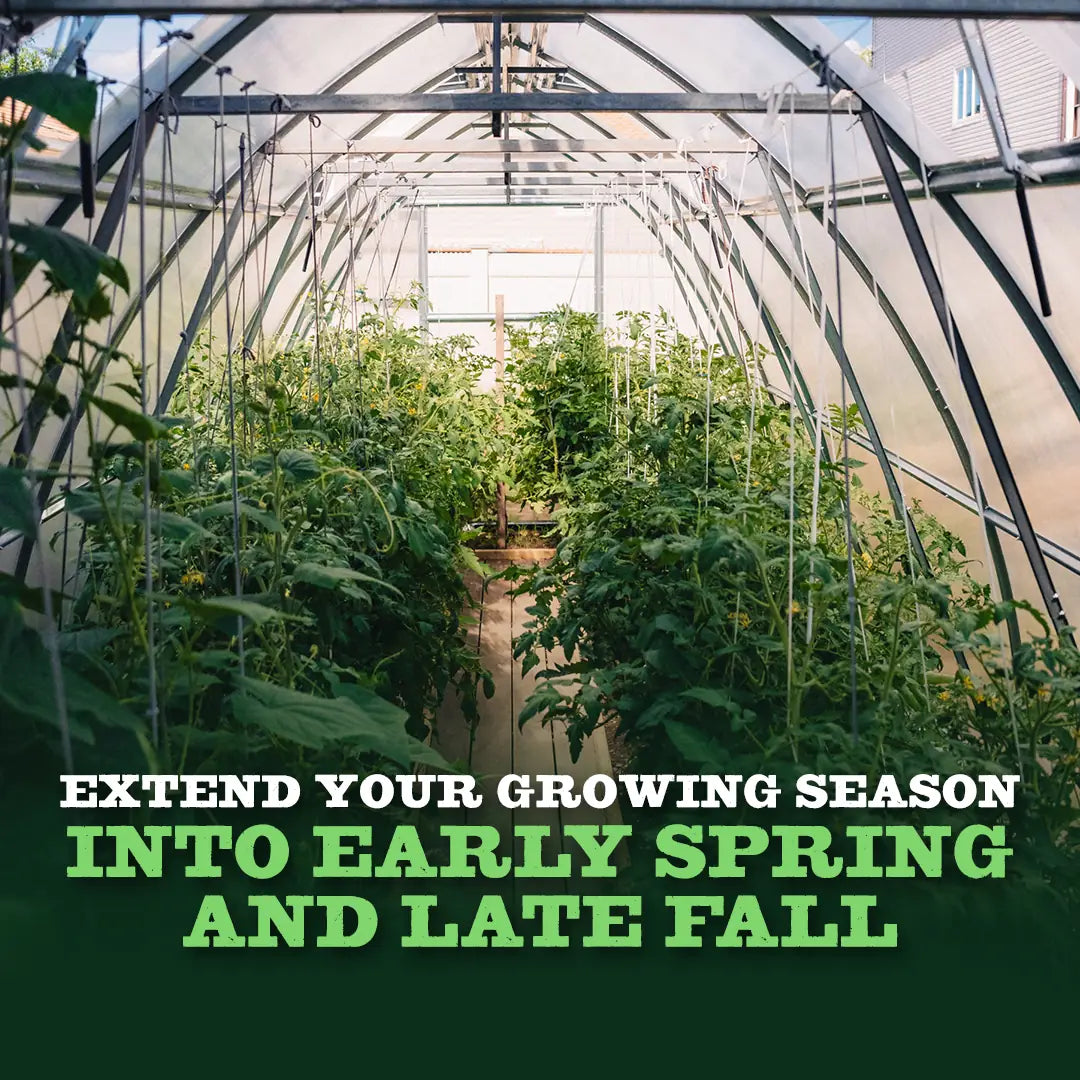 Classic Arch Greenhouse