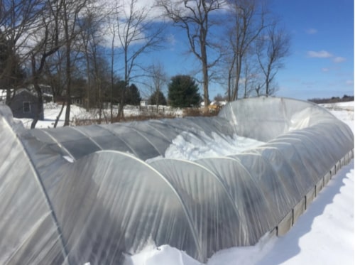 YourGreenhouses Inc
