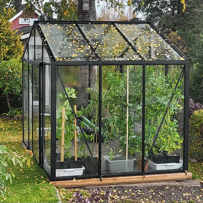 Customer greenhouse photo