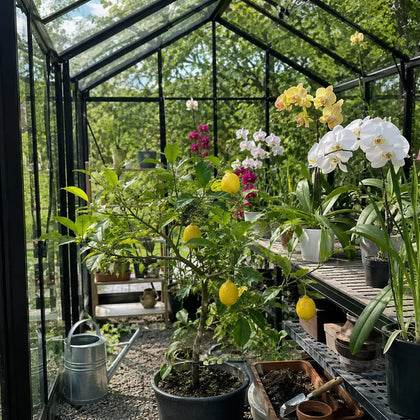 Customer greenhouse photo