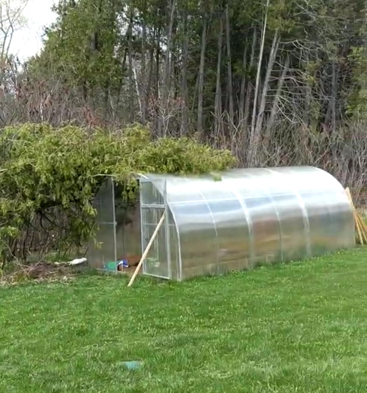 YourGreenhouses Inc