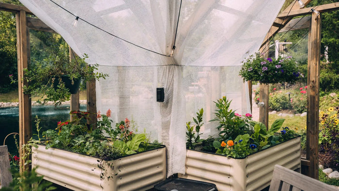 Nordwood owner greenhouse