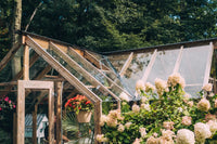 Nordwood Greenhouse (NEW)