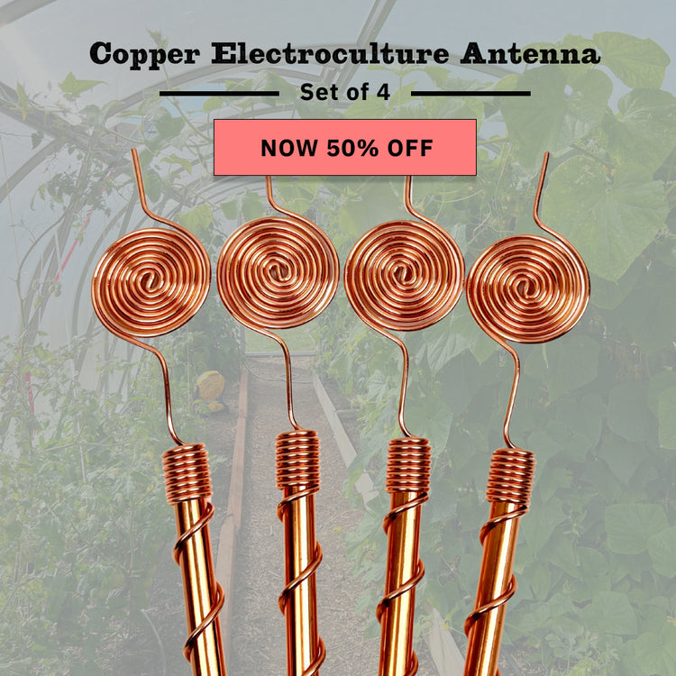 Copper Electroculture Antenna Set (4 pcs) – Boost Plant Growth and Vitality