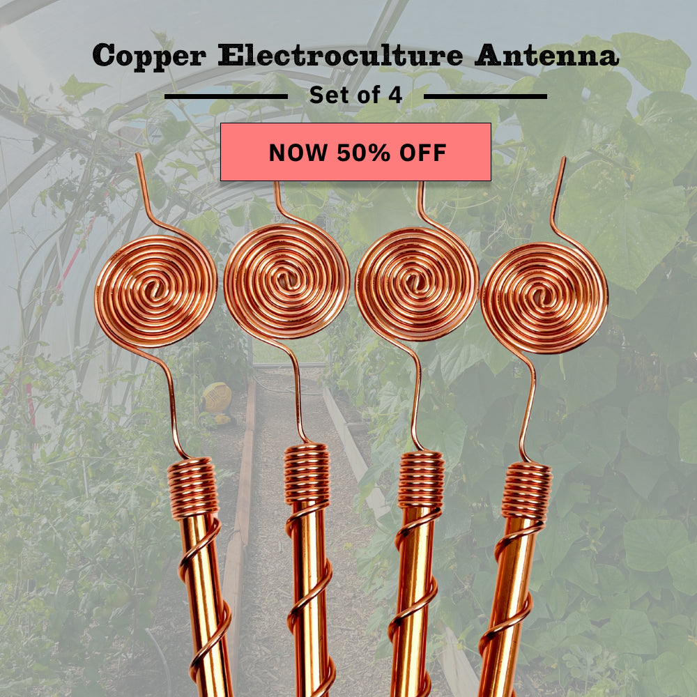 Copper Electroculture Antenna Set (4 pcs) – Boost Plant Growth and Vitality