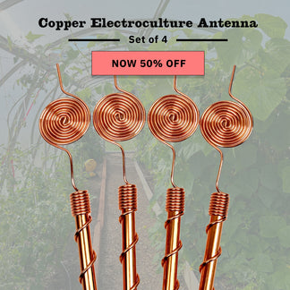 Copper Electroculture Antenna Set (4 pcs) – Boost Plant Growth and Vitality