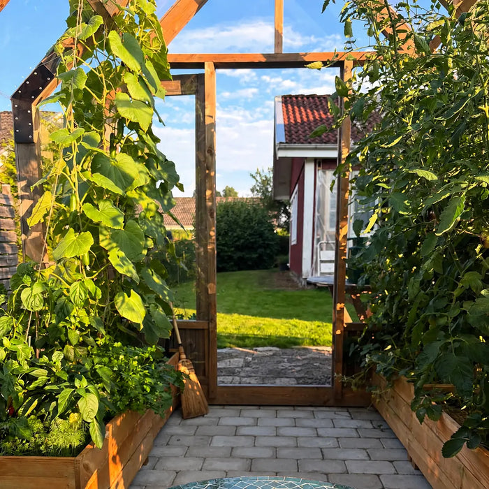 A year-round growing room