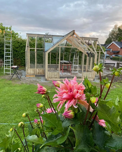 Customer greenhouse photo