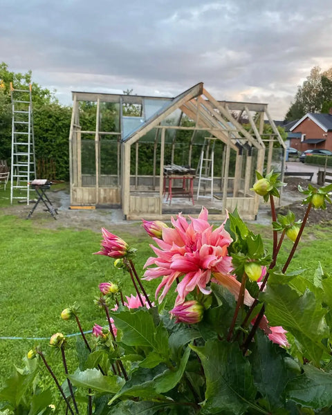 A Nordwood glass room in an owner's garden