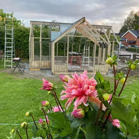 A Nordwood glass room in an owner's garden