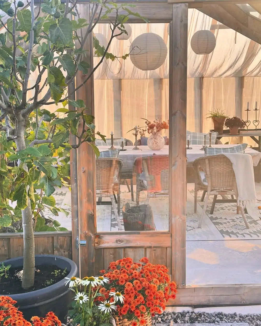 Customer's Nordwood greenhouse in their backyard