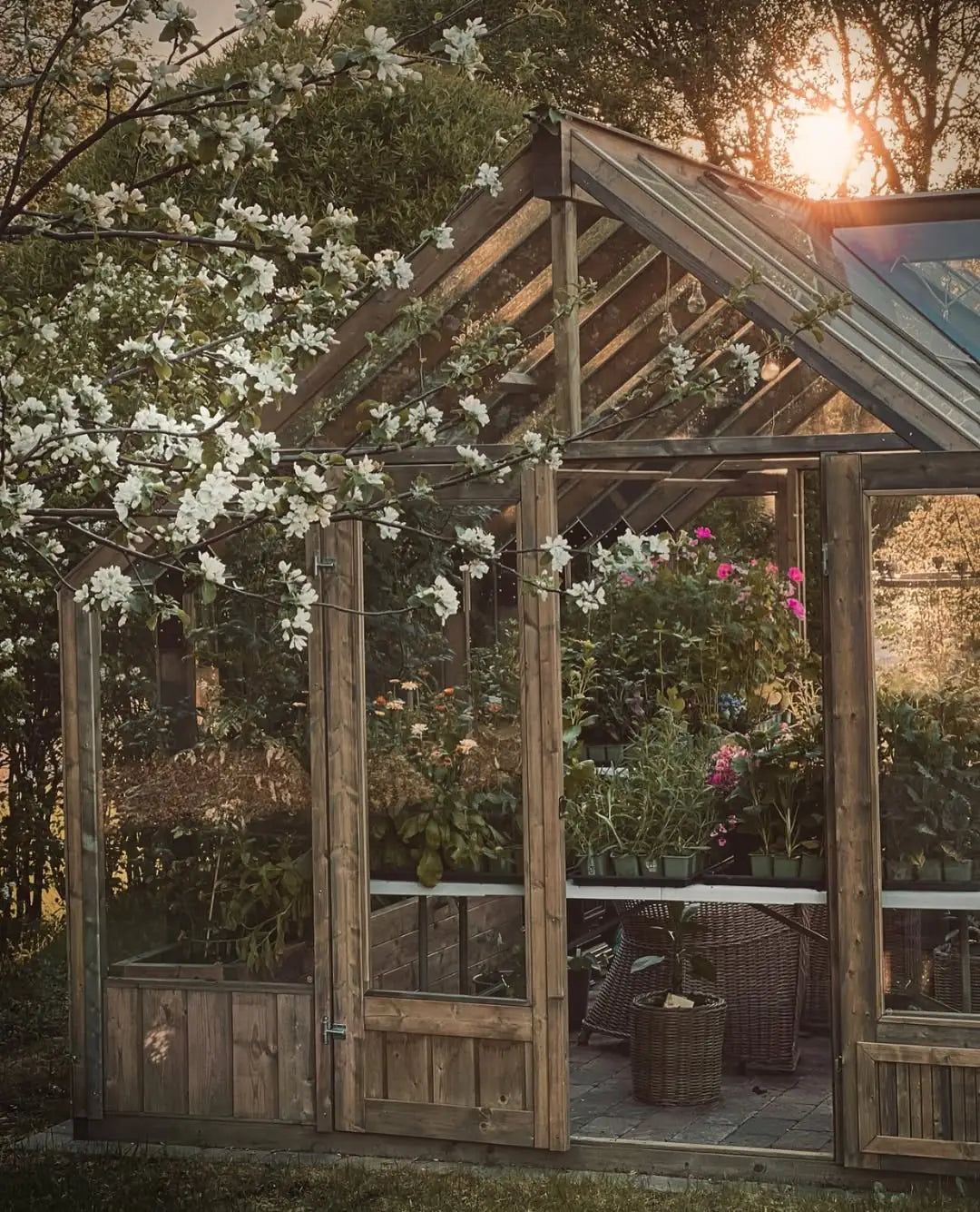 Customer's Nordwood greenhouse in their backyard