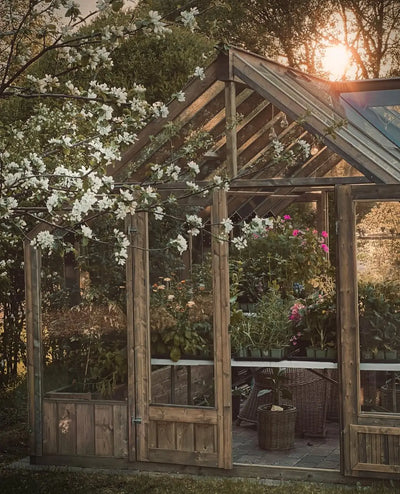 Customer greenhouse photo