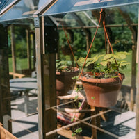 Nordwood Greenhouse (NEW)