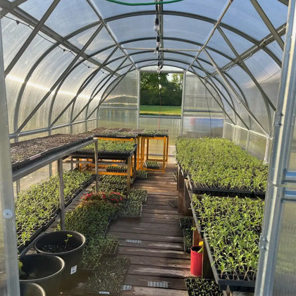Customer greenhouse photo