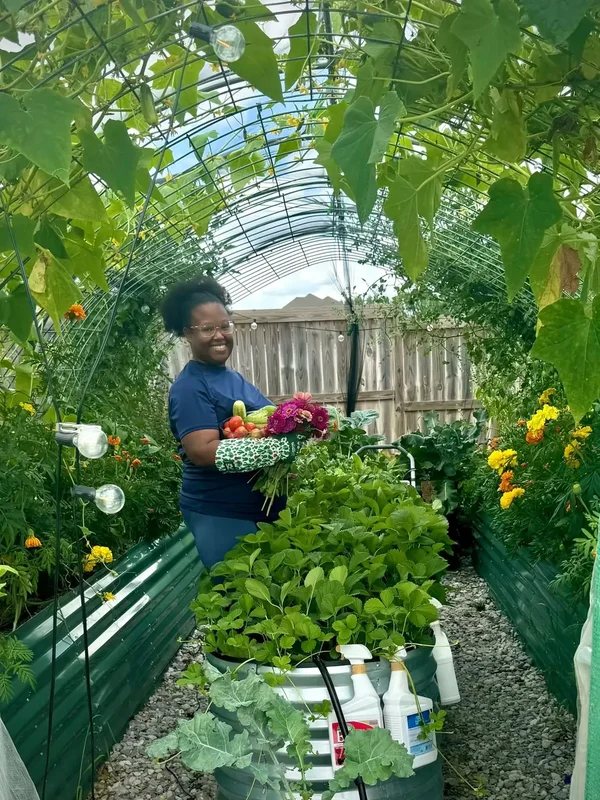 Community greenhouse photo