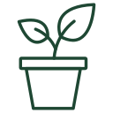 Icon of a potted plant with leaves