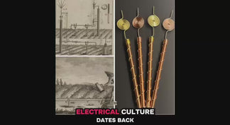 Copper Electroculture Antenna Set (4 pcs) – Boost Plant Growth and Vitality