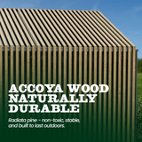 Scandiglas with storage and accoya