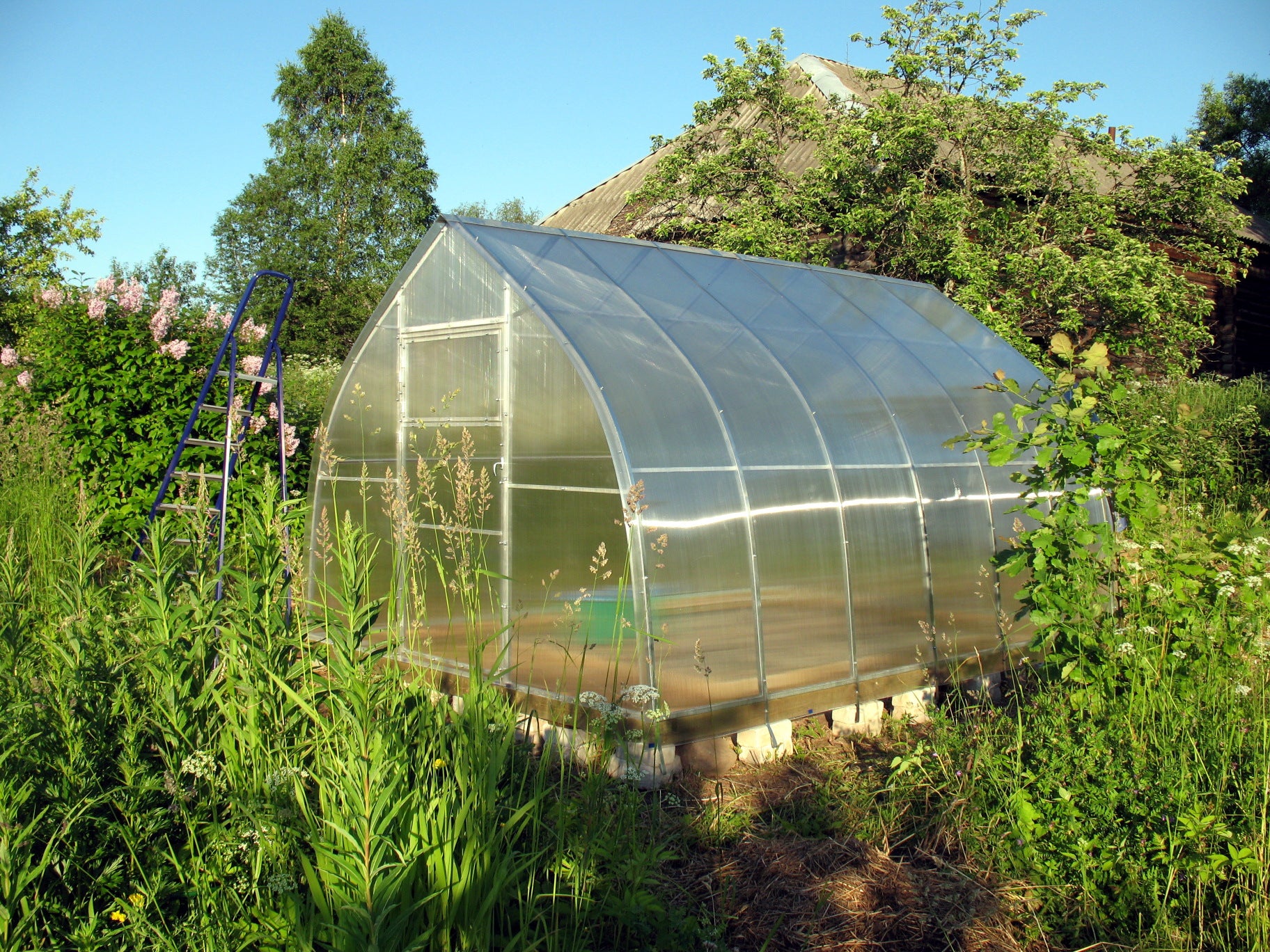 Arch Greenhouse