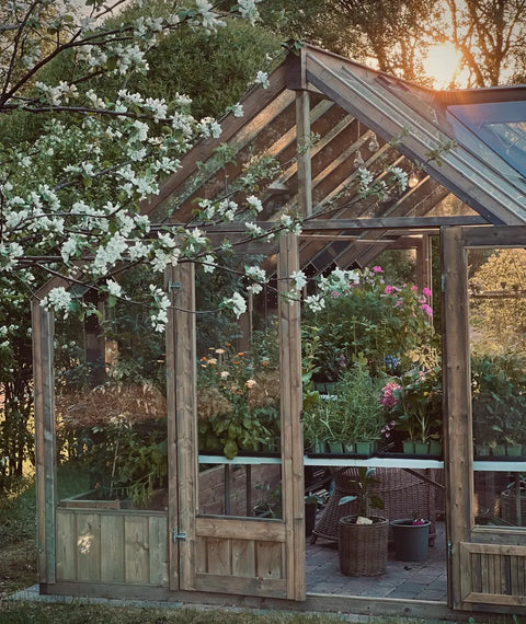 Nordwood Classic Greenhouse