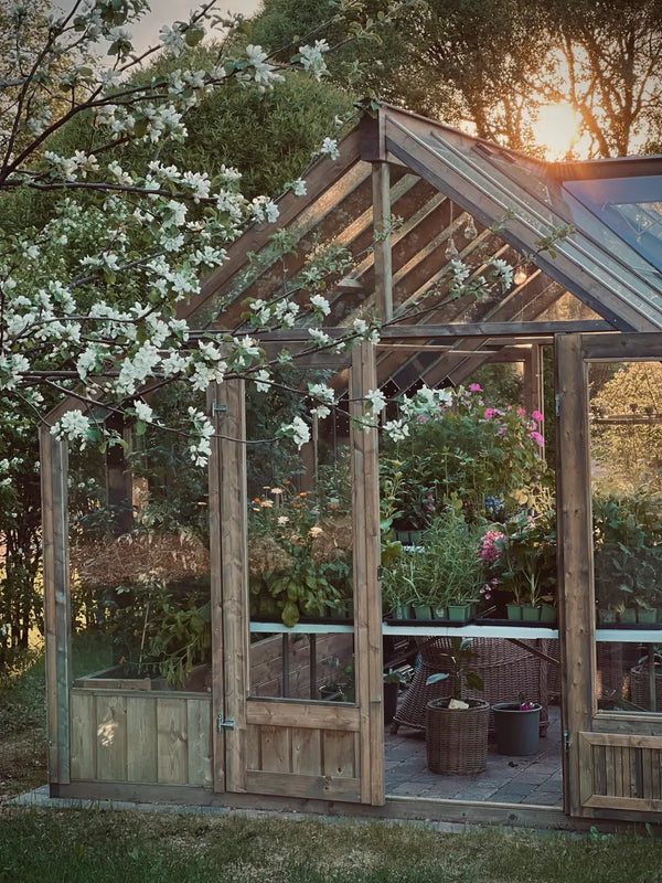 Nordwood Classic Greenhouse in an owner's garden