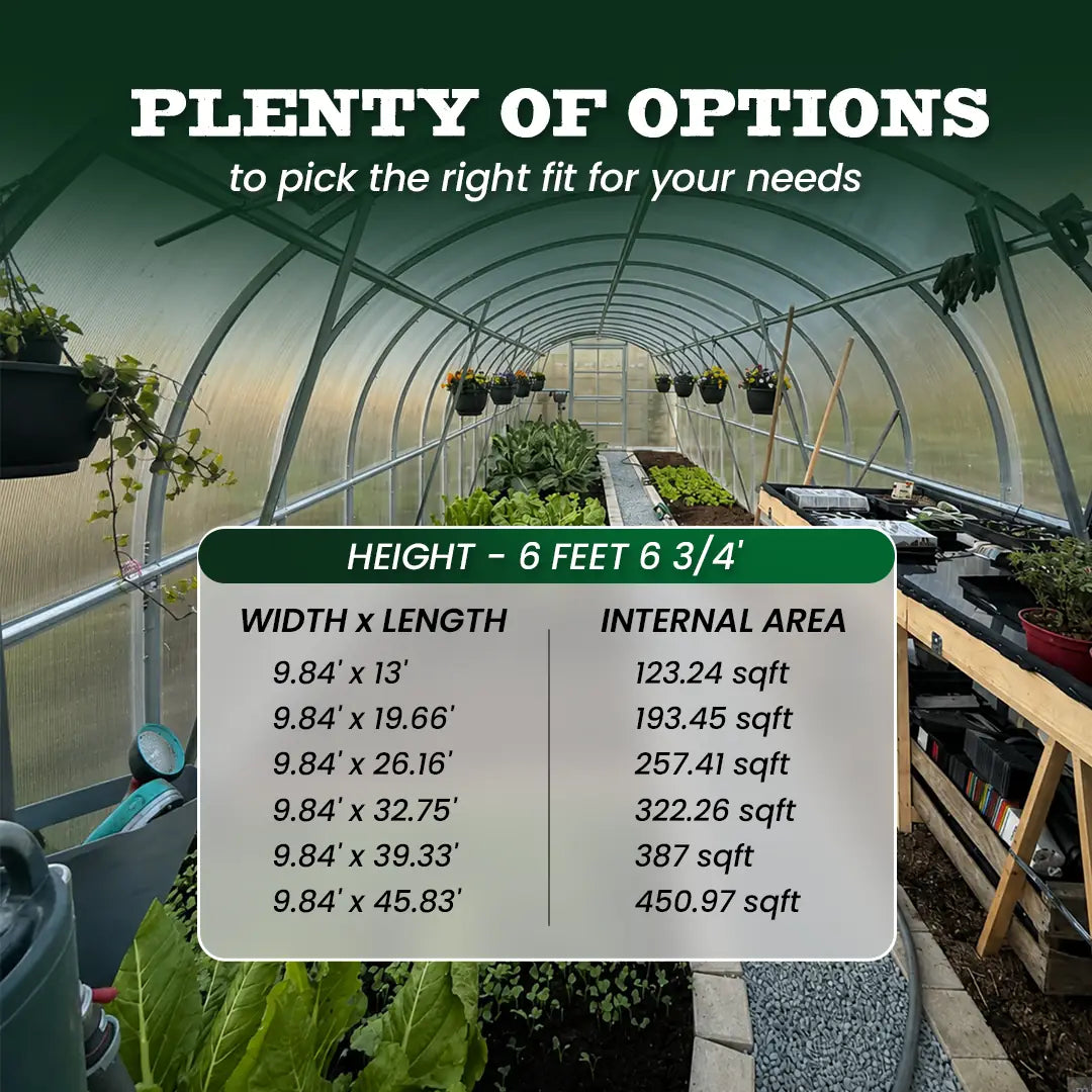 World's Most Popular Polycarbonate Greenhouse