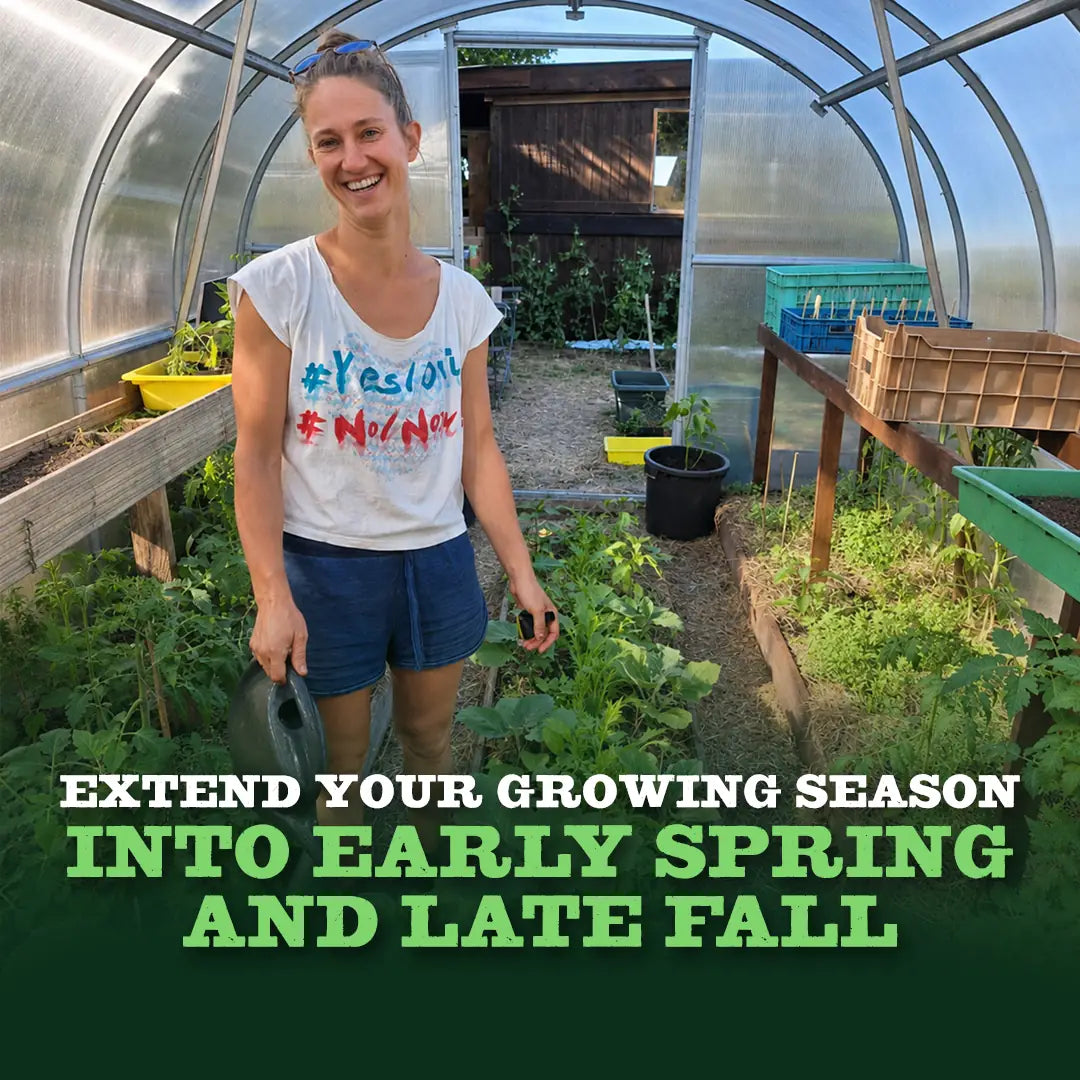 World's Most Popular Polycarbonate Greenhouse
