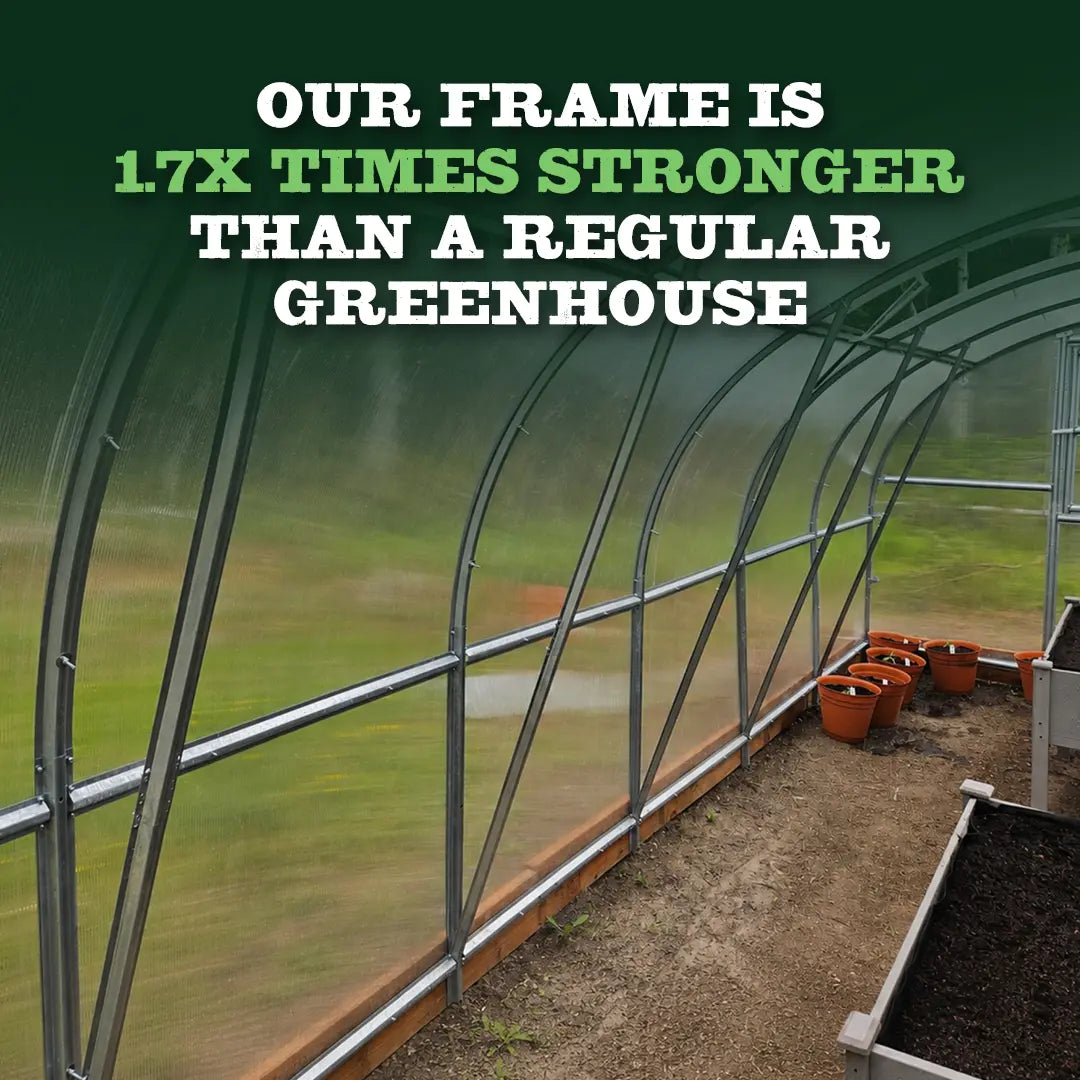World's Most Popular Polycarbonate Greenhouse